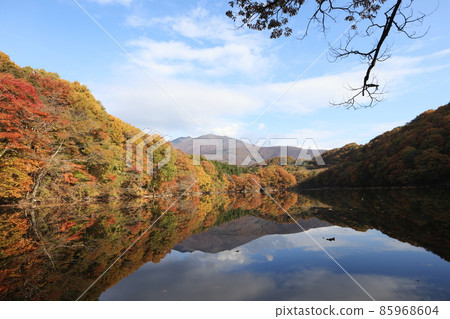 《Shichikashuku Town, Miyagi Prefecture》 Choro Lake November 《Shichikashuku Town, Miyagi Prefecture》 Choro Lake November 85968604