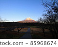 Asagiri Kogen Red Fuji 85968674