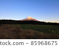 Asagiri Kogen Red Fuji 85968675