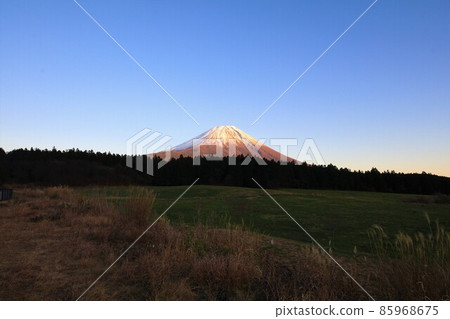 Asagiri Kogen Red Fuji 85968675