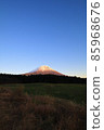 Asagiri Kogen Red Fuji 85968676