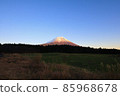Asagiri Kogen Red Fuji 85968678