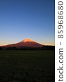 Asagiri Kogen Red Fuji 85968680