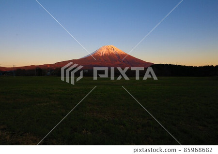 Asagiri Kogen Red Fuji 85968682