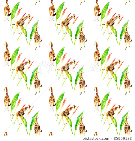 長頸鹿無縫圖案時尚手繪水彩插圖背景材料動物圖案紡織 長頸鹿無縫圖案時尚手繪水彩插圖背景材料動物圖案紡織 85969188