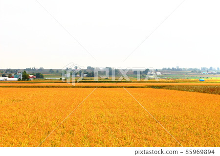 Hokkaido travelogue, near Asahikawa 85969894