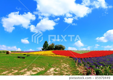 北海道遊記菅野農場 85970449