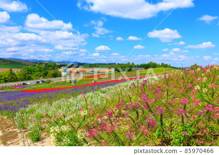 Hokkaido travelogue Kanno Farm Hokkaido travelogue Kanno Farm 85970466