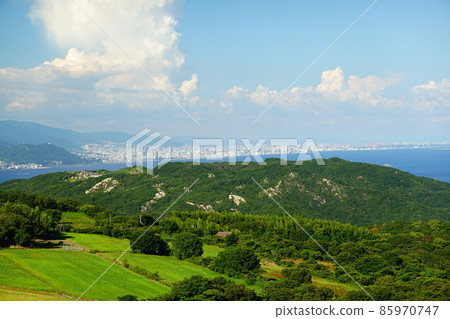 海、草原、森林(兵庫縣立公園淡路花敷) 海、草原、森林(兵庫縣立公園淡路花敷) 85970747