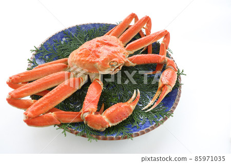 在有復制空間的藍色圓盤上從側面斜取整隻雪蟹 85971035