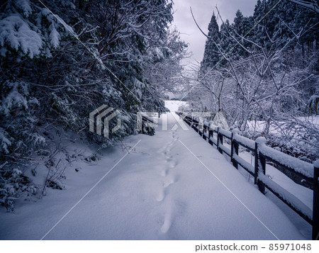 Footprints left on a pure white snowy road 85971048