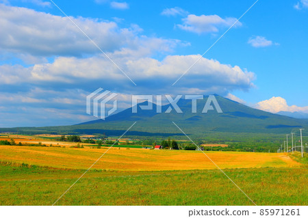 北海道遊記富良野牧場 北海道遊記富良野牧場 85971261