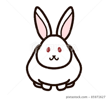 Cute rabbit albino 85971627