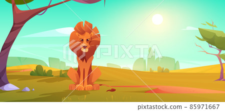 Lion in savanna, african animal in nature wild cat Lion in savanna, african animal in nature wild cat 85971667