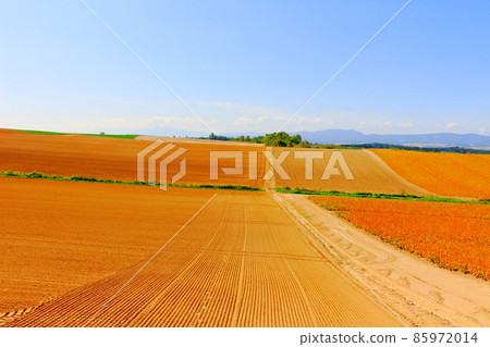 北海道遊記美瑛農場 85972014