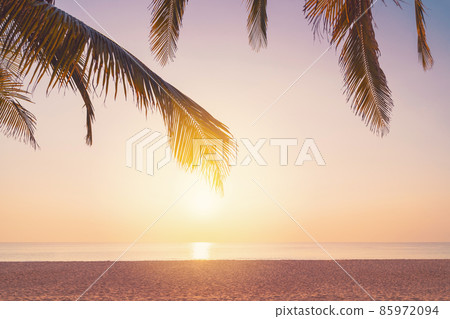 Palm tree at tropical beach on sunset sky abstract background.  85972094