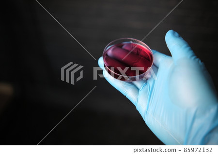 Scientist Wearing Respirator Mask, Coverall and Safety Glasses Looks at Petri Dishes with Bacteria, Tissue and Blood Samples. Medical Research Laboratory Curing Epidemic Diseases. Close-up Macro 85972132