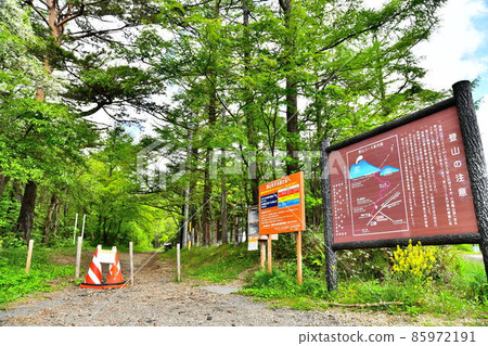 小淺山 / 峰之茶屋登山口（長野縣輕井澤町）[2020.6] 85972191