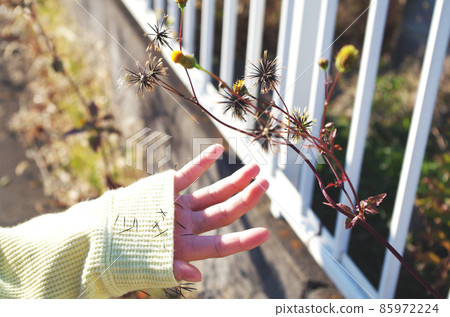 Sleeves with sticking bugs 85972224