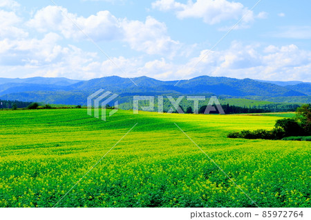 Hokkaido travelogue Biei farm Hokkaido travelogue Biei farm 85972764