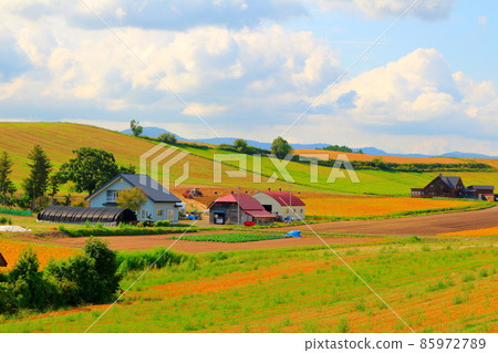 Hokkaido travelogue Biei farm Hokkaido travelogue Biei farm 85972789