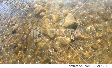 Background yellow sandy bottom with stones rocks and seashells. 85973116