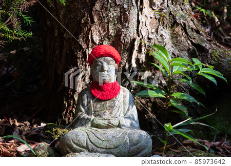 這是一座被秋天色彩染成的古老寺廟的區域。是靜寂中的地藏。廣島市三木寺 這是一座被秋天色彩染成的古老寺廟的區域。是靜寂中的地藏。廣島市三木寺 85973642