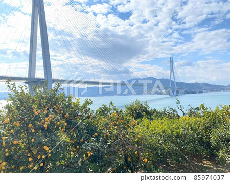 塔塔拉橋和檸檬樹 85974037