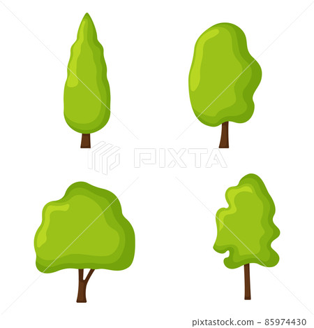 Concept tree organic natural pine and fir forest icon vector illustration botanical graphic wood landscape, isolated on white. 85974430
