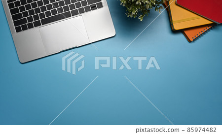 Laptop computer, houseplant and books on blue background with copy space. Flat lay. 85974482