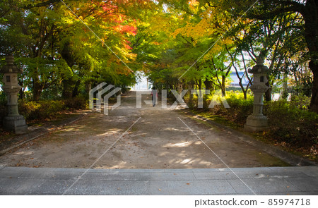 It is the autumnal scenery of Hayatani Shrine, where His Majesty the Emperor dedicated the money. It is the season of worship of Shichigosan. Hatsukaichi It is the autumnal scenery of Hayatani Shrine, where His Majesty the Emperor dedicated the money. It is the season of worship of Shichigosan. Hatsukaichi 85974718