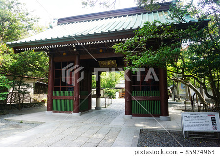 鎌倉大佛~大居山聖泉寺幸德院~ 鎌倉大佛~大居山聖泉寺幸德院~ 85974963