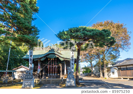 練馬區大泉諏訪神社西尾泉 練馬區大泉諏訪神社西尾泉 85975250