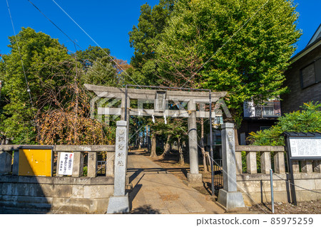 Oizumi Suwa Shrine, Nishioizumi, Nerima-ku, Torii Oizumi Suwa Shrine, Nishioizumi, Nerima-ku, Torii 85975259