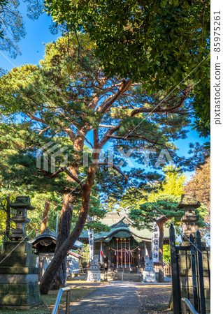 練馬區大泉諏訪神社西尾泉 練馬區大泉諏訪神社西尾泉 85975261