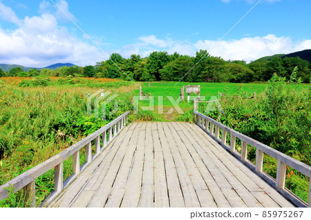 北海道遊記夏空外景設定 85975267