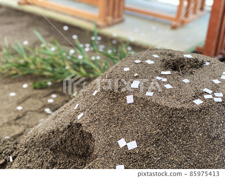 地面節日 地面節日 85975413