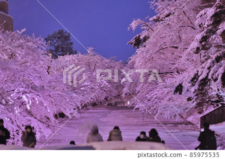 Cherry blossoms blooming in winter at Hirosaki Castle 85975535