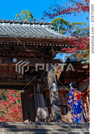 Shuzenji Temple in Izu City, Shizuoka Prefecture Shuzenji Temple in Izu City, Shizuoka Prefecture 85975809