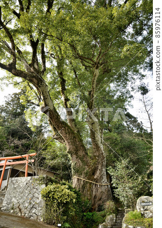 Hikitsukuri Shrine, Hikitsukuri Okusu [Mihama-cho, Minamimuro-gun, Mie Prefecture] 85976114