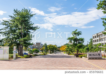 新潟縣新潟市國立大學法人新潟大學 新潟縣新潟市國立大學法人新潟大學 85976681
