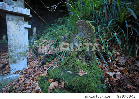 源賴朝藏身的洞窟石佛 85976942