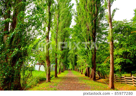 北海道遊記札幌 85977280