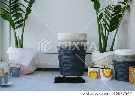 Garden tools. Gardening tools on table. Plant flowers for garden. Tools spade, fork, hand cultivator, hoe and pot with soil Garden tools. Gardening tools on table. Plant flowers for garden. Tools spade, fork, hand cultivator, hoe and pot with soil 85977847