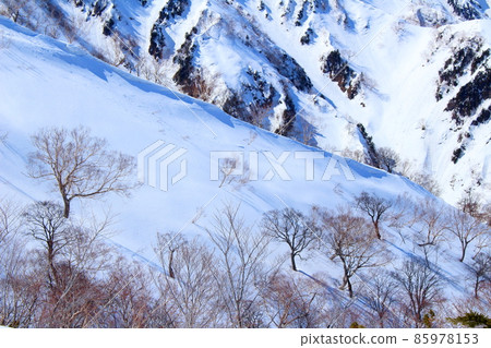 美麗的北阿爾卑斯山 美麗的白雪皚皚的北阿爾卑斯山 85978153