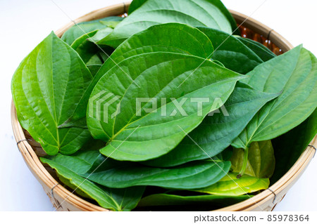 Green betel leaves, Fresh piper betle in bamboo basket on white background 85978364