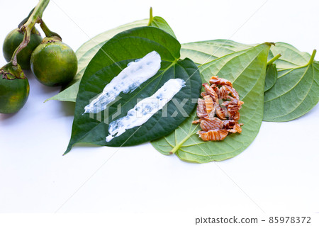 Chewing betel nut, Betel nut with cal lime powder on betel leaves Chewing betel nut, Betel nut with cal lime powder on betel leaves 85978372