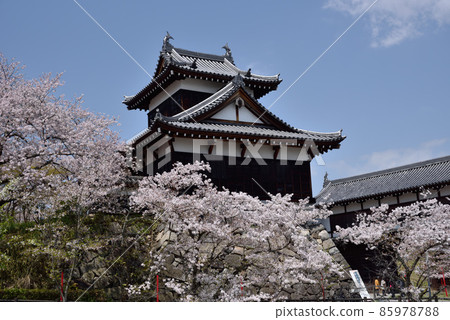 郡山城追擊塔 85978788