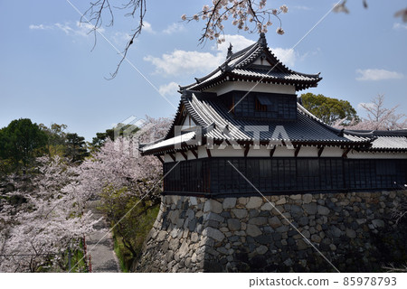 Koriyama Castle Pursuit Tower 85978793