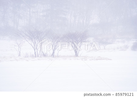 Kakumanbuchi "Gunma Prefecture" in the midwinter 85979121